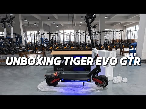 Tiger EVO GTR