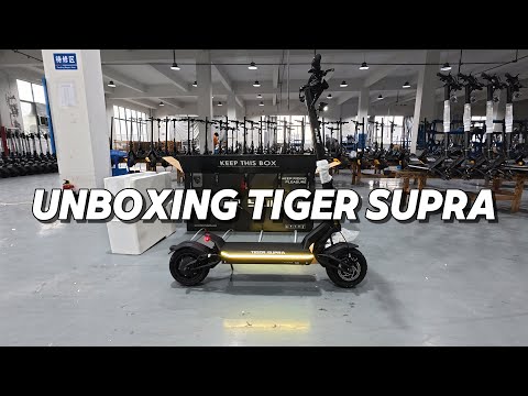 Tiger Supra